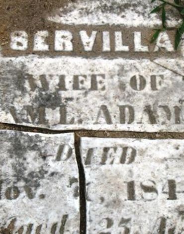Servilla Adams on Sysoon