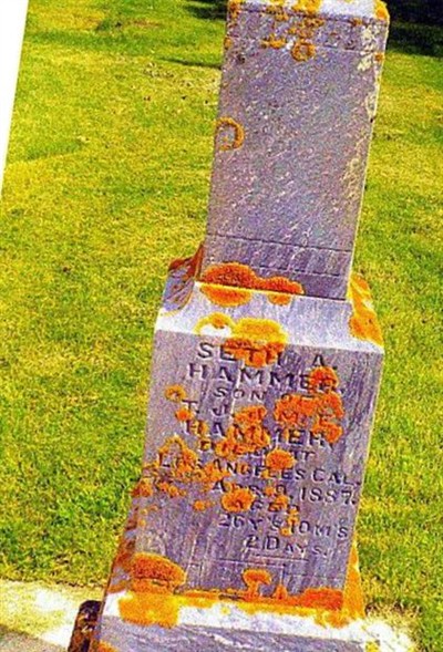 Seth A. Hammer on Sysoon