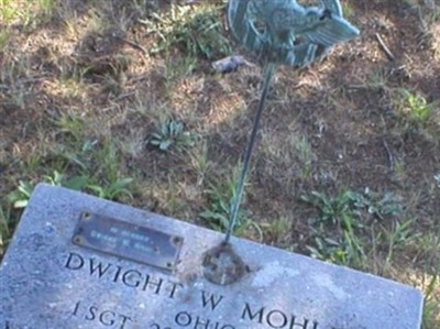 Sgt Dwight W. (World War II) Mohler on Sysoon