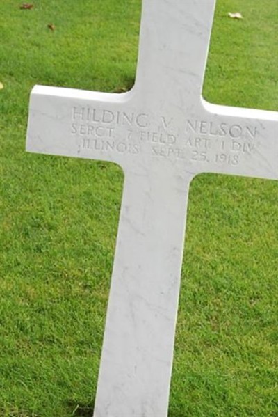 SGT Hilding V. Nelson on Sysoon