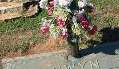 Shafer U Gwyn on Sysoon