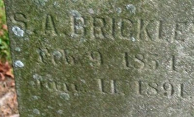 Shannon A. Brickley on Sysoon