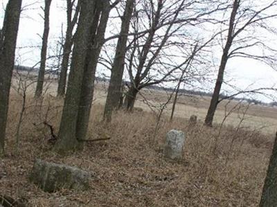 Shannon Cemetery on Sysoon