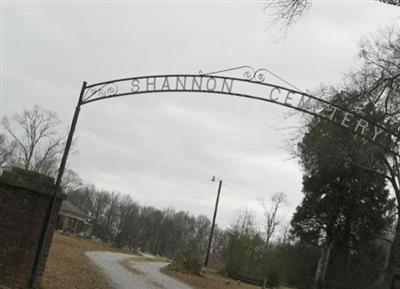 Shannon Cemetery on Sysoon