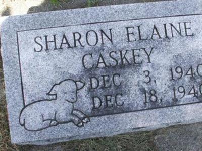 Sharon Elaine Caskey on Sysoon