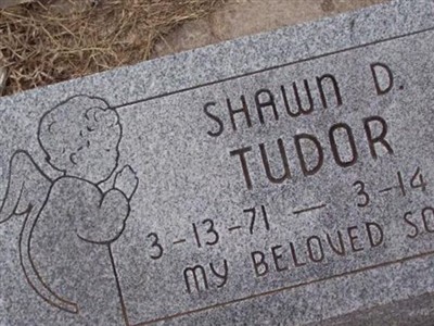 Shawn D. Tudor on Sysoon