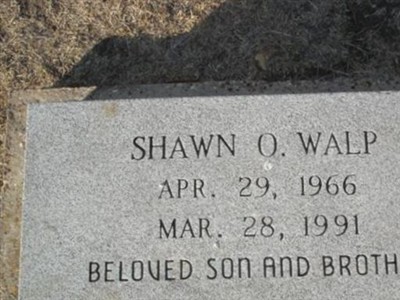 Shawn Orlando Walp on Sysoon