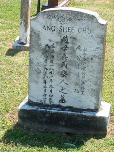Shee Chu Ang on Sysoon