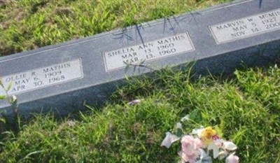 Shelia Ann Mathis on Sysoon