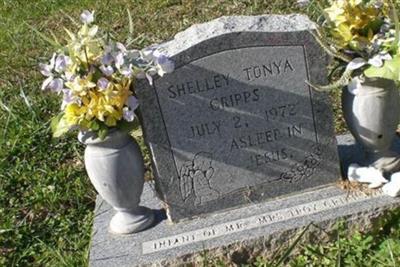 Shelley Tonya Cripps on Sysoon