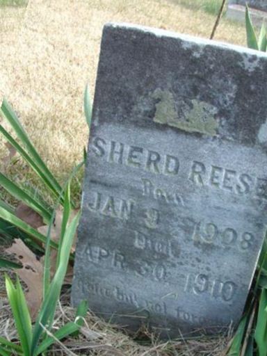 Sherd Reese on Sysoon