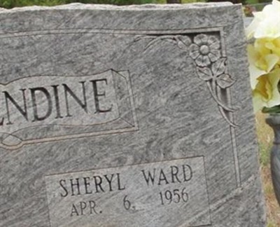 Sheryl (Ward) Brizendine on Sysoon