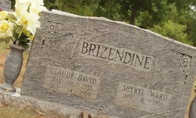 Sheryl (Ward) Brizendine on Sysoon