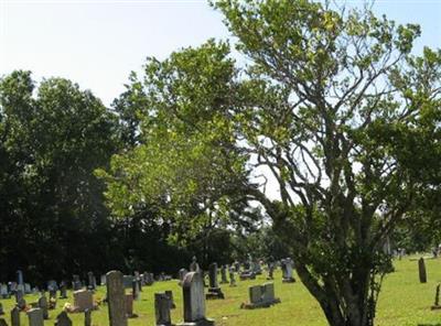 Shiloh Baptist Church Cemetery on Sysoon