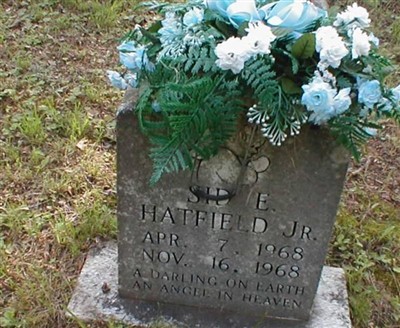 Sid E Hatfield, Jr on Sysoon