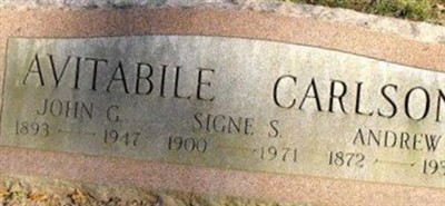 Signe S Avitable Carlson on Sysoon