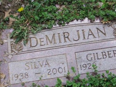 Silva DeMirjian on Sysoon