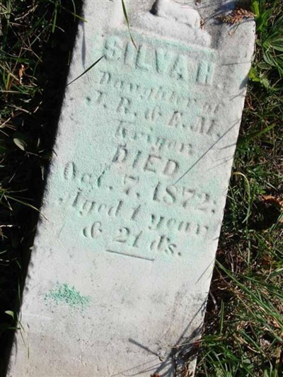 Silva H. Kriger on Sysoon