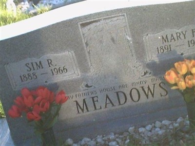 Sim Robert Meadows on Sysoon