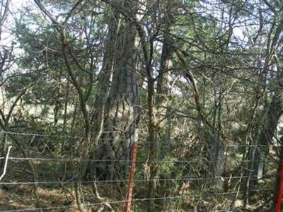 Sissom Cemetery on Sysoon