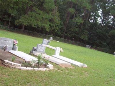 Smyrna Cole Cemetery on Sysoon