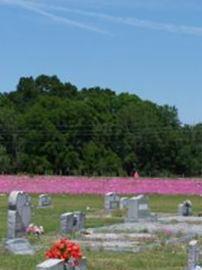 Socrum Cemetery on Sysoon