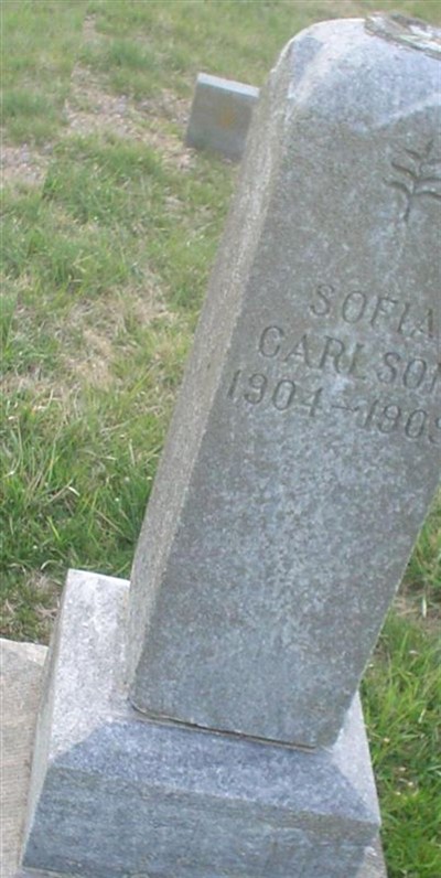 Sofia Carlson on Sysoon