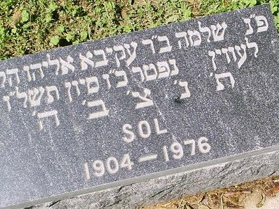Sol Levin on Sysoon
