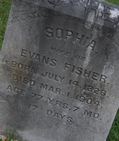 Sophia Fisher on Sysoon