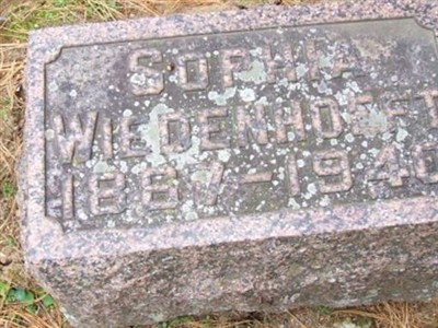 Sophia Krawkon, Hansen Wiedenhoeft on Sysoon