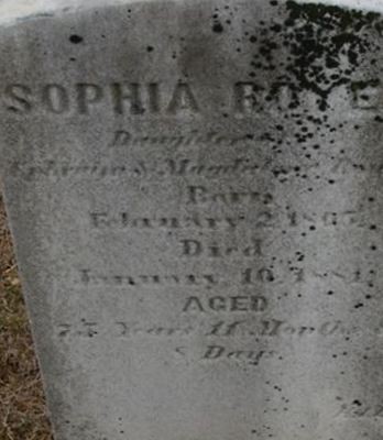 Sophia Royer on Sysoon