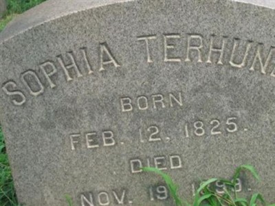 Sophia Terhune on Sysoon