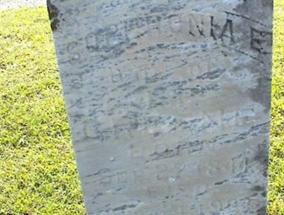 Sophronia E. Greene on Sysoon
