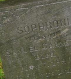Sophronia Garnett on Sysoon