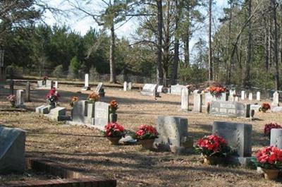 Speed Cemetery on Sysoon