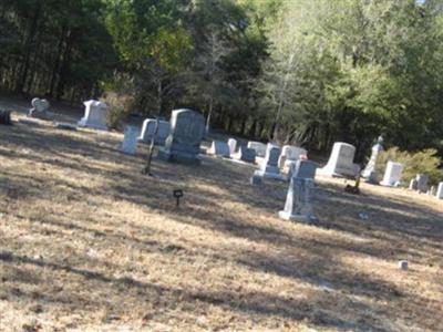 Speedwell Methodist Church Cemetery on Sysoon