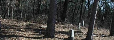 Spring Brook Cemetery on Sysoon