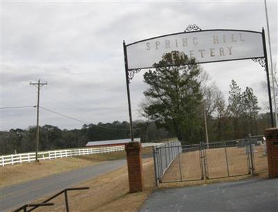 Spring Hill Cemetery on Sysoon