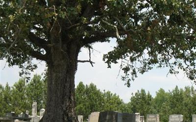 Spring Valley Cemetery on Sysoon