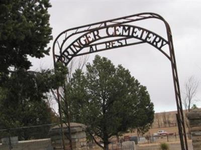 Springer Cemetery on Sysoon