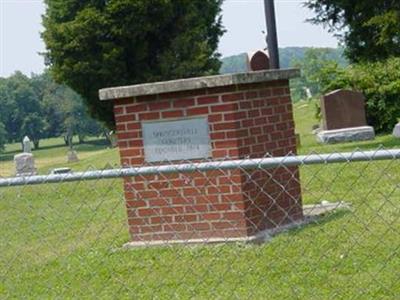 Springersville Cemetery on Sysoon
