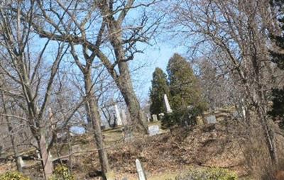 Springfield Cemetery on Sysoon