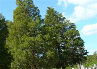 Springhead Methodist Church Cemetery on Sysoon