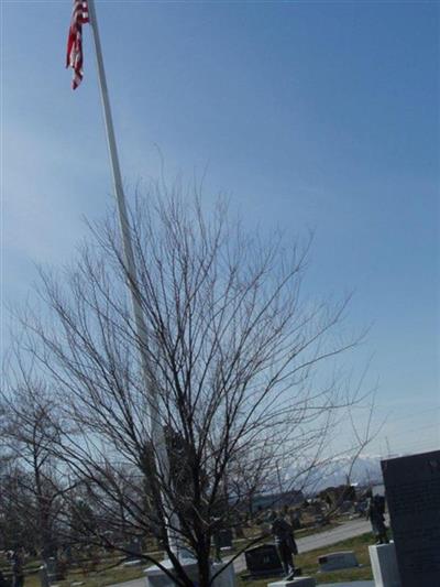 Springville Cemetery on Sysoon