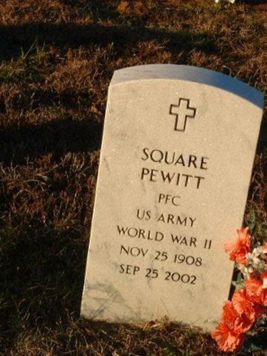 Square Pewitt on Sysoon