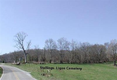 Stallings-Ligon Cemetery on Sysoon