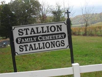 Stallion Family Cemetery on Sysoon