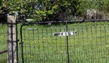 Stebbins Cemetery on Sysoon