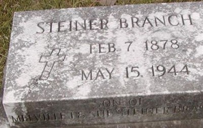 Steiner Branch on Sysoon
