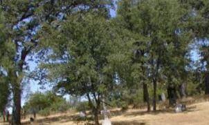 Stent Cemetery on Sysoon